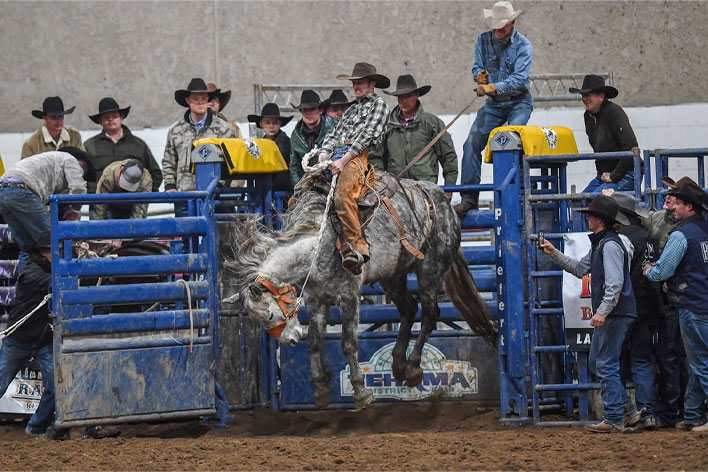 Rodeo Crowd
